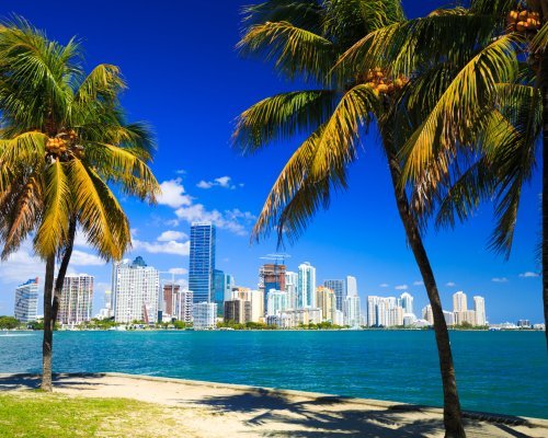 Skyline view of Miami Florida