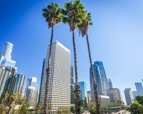 Los Angeles, California, USA downtown cityscape. Beautifull three tall palms in the center