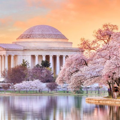Jefferson Memorial during the Cherry Blossom Festival in Washington, DC, United States
